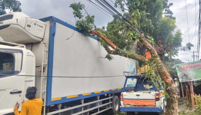 Truk Cargo Kontainer Tabrak Pohon Timpa Kabel Listrik