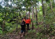 Pria Hilang di Hutan Sungai Durian Ditemukan Selamat oleh Tim SAR