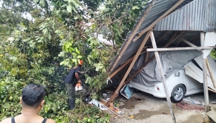 Pohon Tumbang Timpa Warung dan Mobil di Kuranji, Satu Orang Warga Terluka