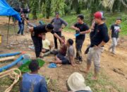 Polda dan Polres Pasbar Gerebek Tambang Emas Ilegal, 3 Pelaku Ditahan