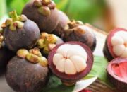 Manggis, Buah Kecil Kaya Manfaat untuk Kesehatan Optimal