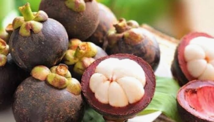 Manggis, Buah Kecil Kaya Manfaat untuk Kesehatan Optimal