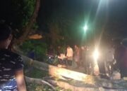 Pohon Tumbang di Jalan Padang -Painan, Timpa Mobil dan Motor