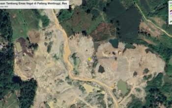 Puluhan Titik tambang Emas Ilegal dan Ratuasan Hektar lahan rusak akibat PETI