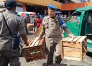 Satpol PP Padang Razia dan Sita Barang Pedagang Kaki Lima