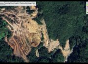 MENYIBAK PEMBIARAN PETI MERUSAK ALAM