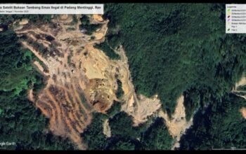 MENYIBAK PEMBIARAN PETI MERUSAK ALAM