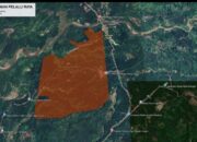 WALHI: Pascaizin Dicabut, Rakyat Menunggu Krisis di PULIHkan