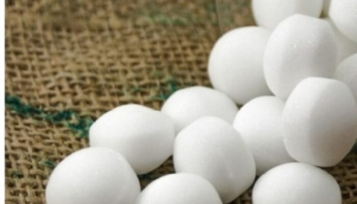 Benarkah Kapur Barus Ampuh Usir Tikus? Ini Fakta di Baliknya