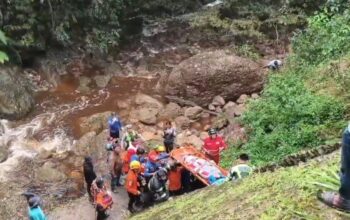 Mobil Masuk Jurang di Kelok 9 Lima Puluh Kota, Tujuh Orang Luka-Luka