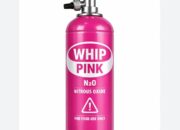 Fenomena Whip Pink Viral, BNN dan BPOM Perketat Pengawasan