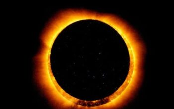 Prediksi Gerhana Matahari Cincin 17 Februari 2026 Tanda Ijtima’ dan Awal Bulan Baru